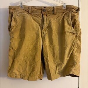 American Eagle Outfitters Men's Brown Flat Front Shorts